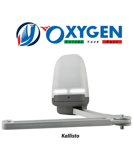 Drehtorantrieb mit Gelenkarm 230V