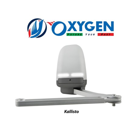 Kallisto 230v Motor con Brazo Ariticulado 230v