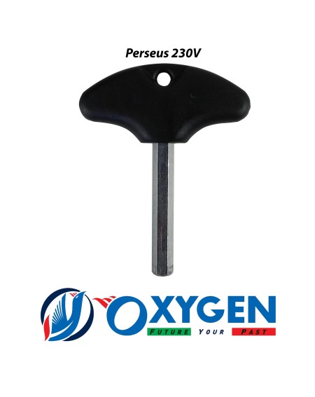 Getriebemotor Perseus 230V elektromechanischer Schiebetorantrieb