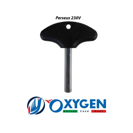 motoriduttore Perseus 230V motore cancello scorrevole elettromeccanico