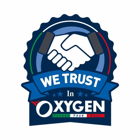 Full kit sargon 230v für Rechten Drehtorflügel für Wohnnutzung